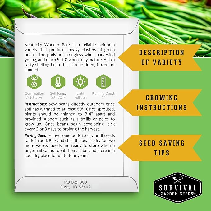 Survival Garden Seeds - Kentucky Wonder Pole Bean Seed for Planting - 2 Packs with Instructions to Plant and Grow Green Snap Beans in Your Home Vegetable Garden - Non-GMO Heirloom Variety