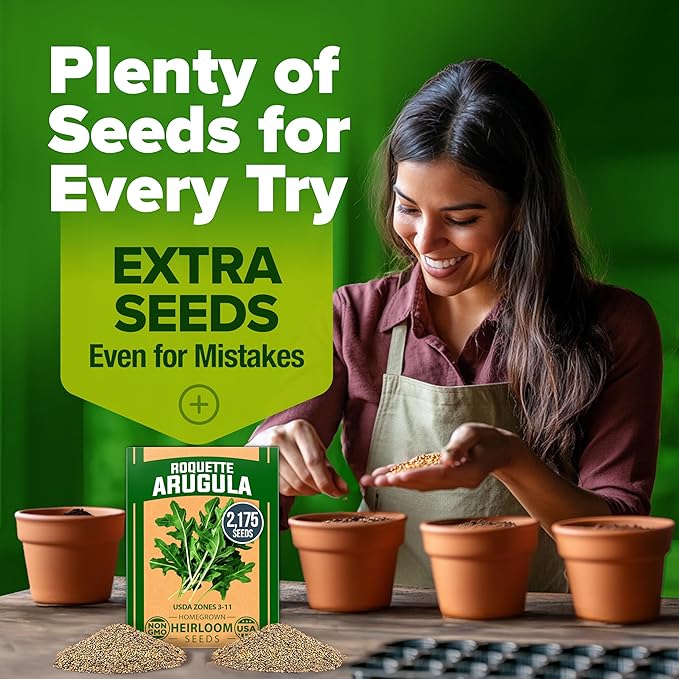 HOME GROWN Arugula Roquette Seeds 2 Pack (9g) 4350 Non-GMO Heirloom Arugula Seeds for Planting - Best for Outdoor Gardens, Providing Fast-Growing Greens for Salads and Sandwiches - Eruca vesicaria