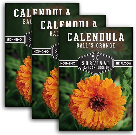 Ball's Orange Calendula Seed for Planting - 3 Packets with Instructions to Plant & Grow Medicinal Herb Plants in Your Home Vegetable Garden - Non-GMO Heirloom Variety - Survival Garden Seeds