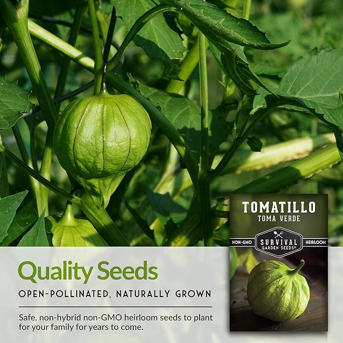 Survival Garden Seeds - Toma Verde Tomatillo Seed for Planting - 5 Packs with Instructions to Plant & Grow Green Salsa Vegetables in Your Home Vegetable Garden - Non-GMO Heirloom Variety