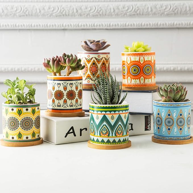 Succulent Plant Pots - 3.1 inch Ceramic Succulent Planter -Cylinder Flower Pots for Cactus with Drainage Hole and Bamboo Tray, 6 Pack (Multicolor1)