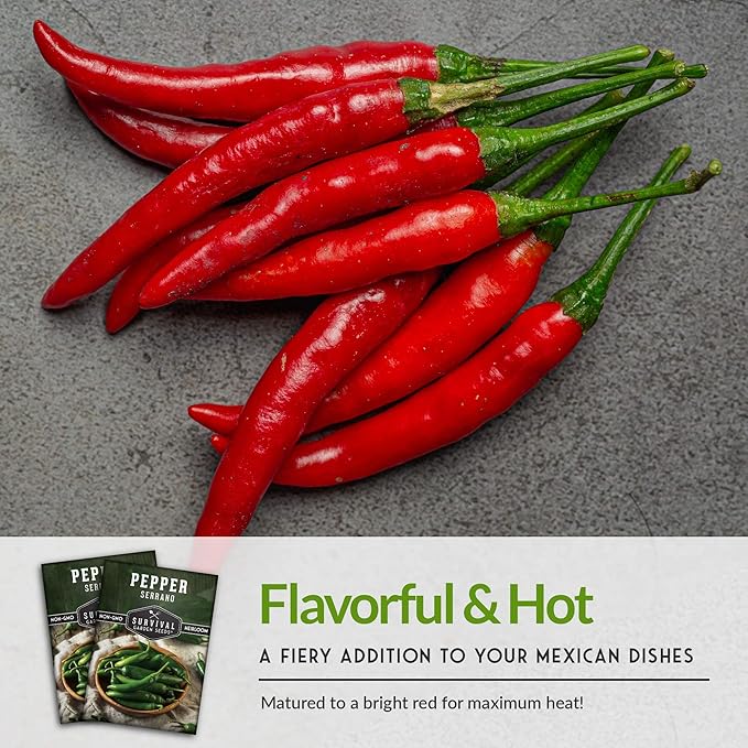 Survival Garden Seeds Serrano Pepper Seeds for Planting – 5 Packs with Instructions to Grow Spicy Mexican Peppers in Your Home Vegetable Garden – Non-GMO Heirloom Variety Seeds
