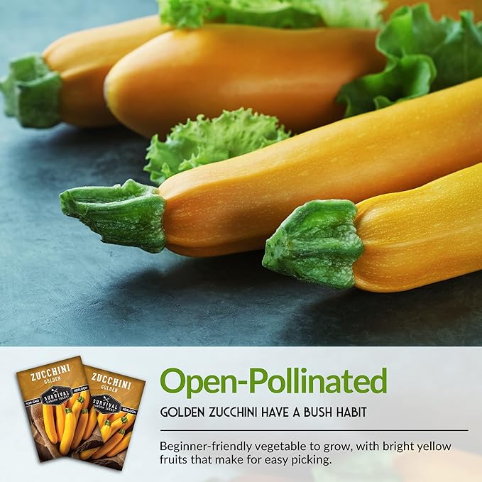 Survival Garden Seeds - Golden Zucchini Seeds for Planting - 2 Packs with Instructions to Plant and Grow Yellow Zucchini Vegetables in Your Home Vegetable Garden - Non-GMO Heirloom Variety