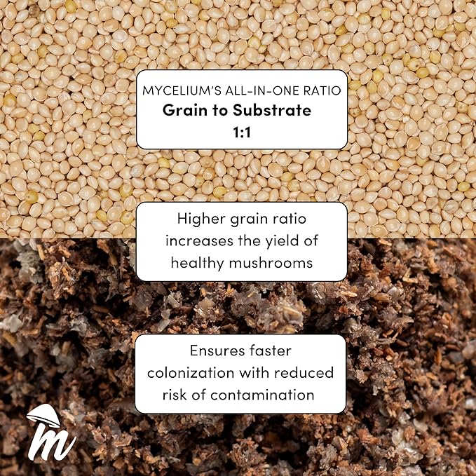 Mycelium’s Shiitake Gourmet Mushroom Kit | 5LBS Oak & Soy Hull with Millet Blend | 20ML Liquid Culture Syringe | All-in-One Complete Cultivation Kit | Pre-Sterilized - Home Growing Made Easy