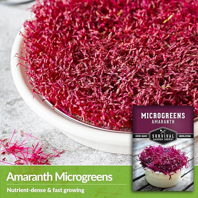 5 Packs Amaranth Microgreens Seeds for Planting and Growing - Plant Green Leafy Micro Vegetable Plants Indoors - Grow A Mini Windowsill Garden - Non-GMO Heirloom - Survival Garden Seeds