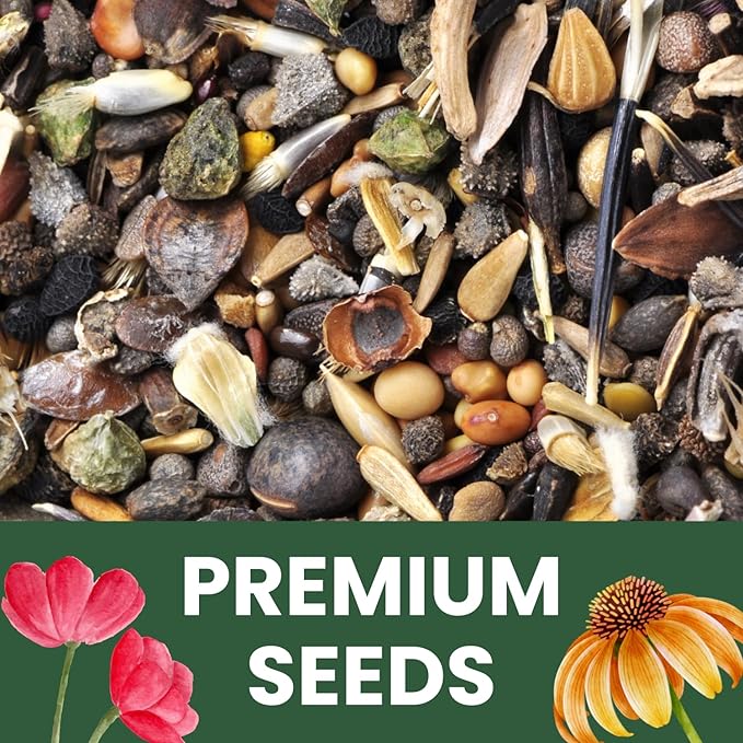 African Marigold Crackerjack - Large 2,500mg Envelope - 500 Flower Seeds for Planting - Tagetes erecta