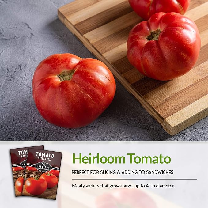 Survival Garden Seeds 5 Packs Beefsteak Tomato Seed for Planting - Packet with Instructions to Plant and Grow Delicious Tomatoes in Your Home Vegetable Garden - Non-GMO Heirloom Variety