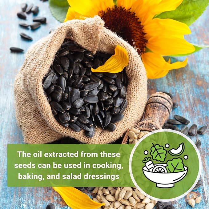 Sow Right Seeds - Peredovik Sunflower Seeds for Planting - Non-GMO Heirloom Packet with Instructions for Growing - Russian Black Sun Flower - Great for Wildlife and Sunflower Oil - Annual Blooms (1)