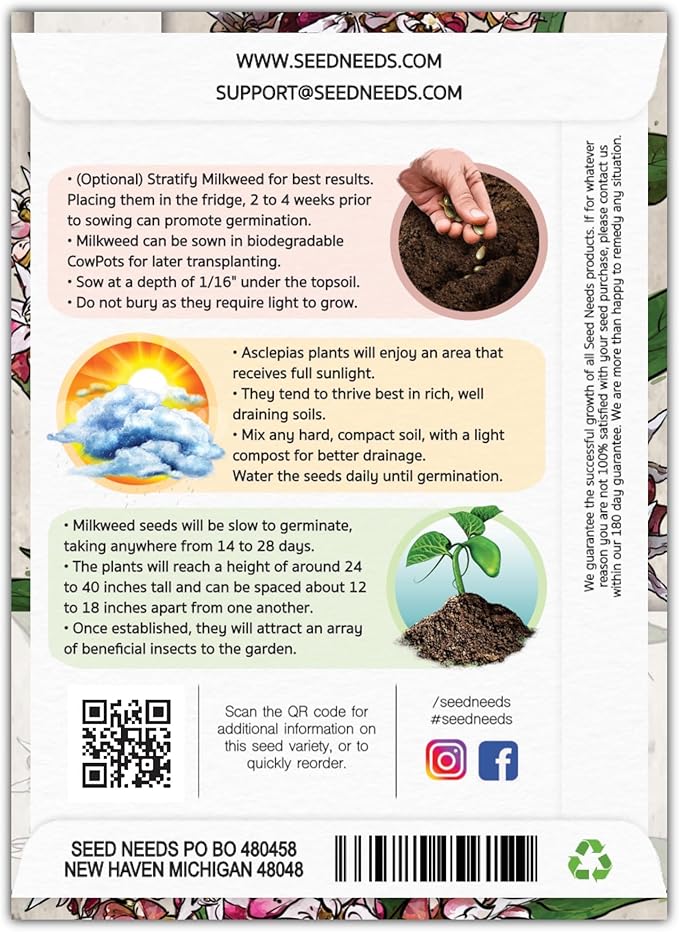 Seed Needs Showy Milkweed Seeds for Planting - Untreated & Open Pollinated, Attracts Monarch Butterflies in a Butterfly Garden (2 Packs)