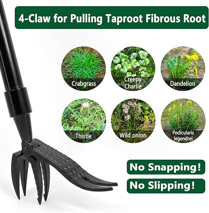 Weed Removal Head Replacement Tool, 4-Claw Steel Head Design, Manual Weeding Tool, Black