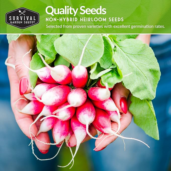 Survival Garden Seeds Root Vegetable Seed Collection - 6 Packs: Danvers Carrot, Purple Top Turnip, French Breakfast Radish, Kohlrabi, Rutabaga, Golden Beet - Non-GMO Heirloom Open-Pollinated Seeds