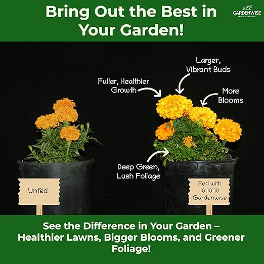 10-10-10 Plant Fertilizer Slow Release – 10 10 10 All Purpose Granular Garden Fertilizer for Fruit Trees, Evergreens, Vegetables, Arborvitae, Fig Trees, Shrubs, Pines, Oaks, Flowers