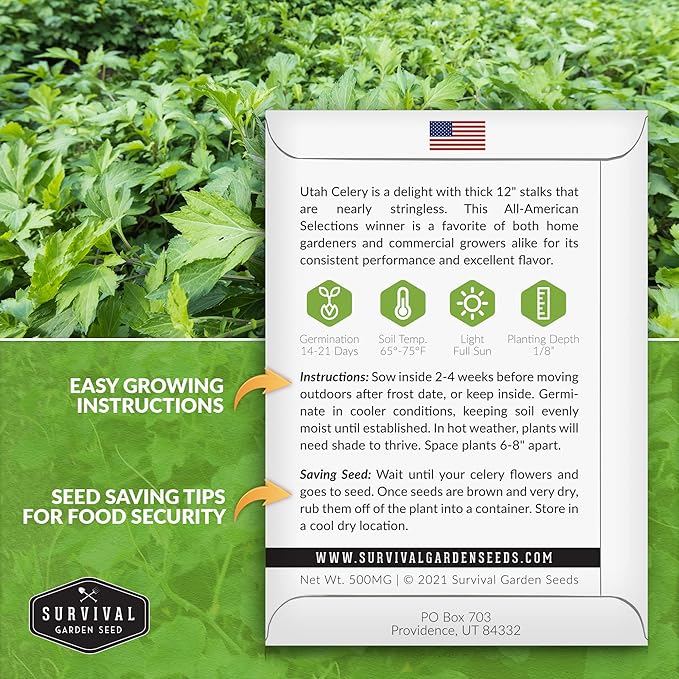 Utah Celery Seed for Planting - 2 Packets with Instructions to Plant & Grow Delicious Celery Plants in Your Home Vegetable Garden - Tender Crisp Non-GMO Heirloom Variety - Survival Garden Seeds