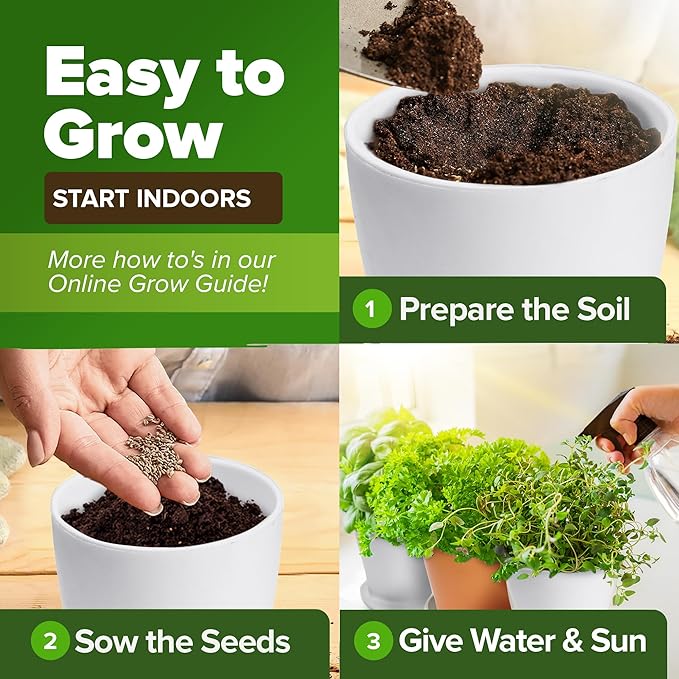 HOME GROWN 25 Herb Seeds Pack | 8700+ Heirloom Seeds | Indoor & Outdoor Planting | Culinary Herb Seeds Variety Pack | Perfect for Hydroponic Gardens | Arugula, Basil, Lavender & More