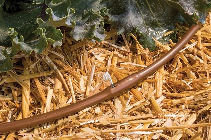 Rain Bird ET256-50S Drip Irrigation Pressure Compensating 1/4" Emitter Tubing, 6" Emitter Spacing, 50 Roll, Brown (Pack of 2)
