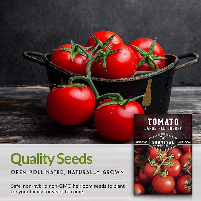 Survival Garden Seeds - Large Red Cherry Tomato Seed for Planting - 3 Packets with Instructions to Plant and Grow Tomatoes in Your Home Vegetable Garden - Non-GMO Heirloom Variety