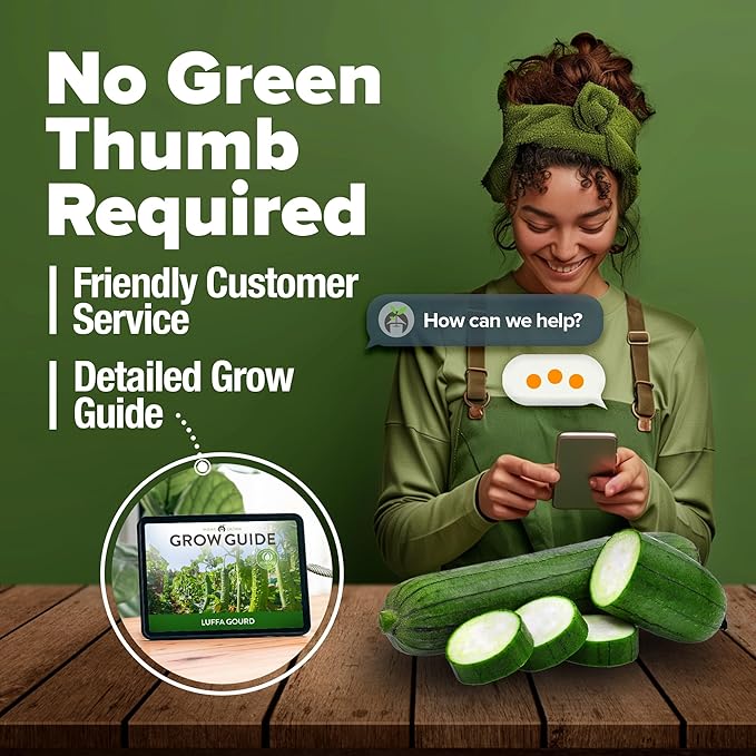 HOME GROWN Luffa Seeds 2 Pack (Luffa aegyptiaca) - 80 Heirloom Loofah Seeds. Non-GMO Loofah Gourd Seeds for Planting. High Germination Rate - Make Sponges or Harvest Young Loofahs for Eating