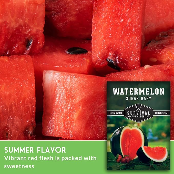 Survival Garden Seeds - Sugar Baby Watermelon Seed for Planting - Packet with Instructions to Plant and Grow Little Round Watermelons in Your Home Vegetable Garden - Non-GMO Heirloom Variety