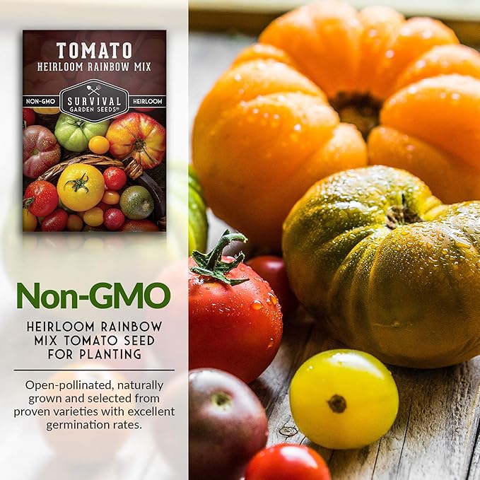 Survival Garden Seeds - Heirloom Rainbow Mix Tomato Seed for Planting - 5 Packets with Instructions to Plant and Grow in Your Home Vegetable Garden - Non-GMO Heirloom Variety - 5 Packs