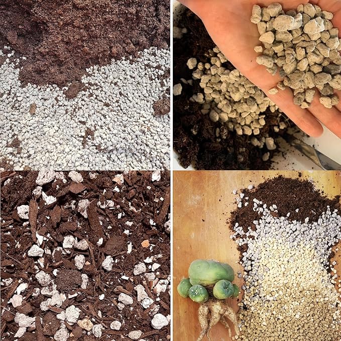MDPQT Horticultural Pumice for Plants Professional Sifted (50 QT, 3/8 inch)