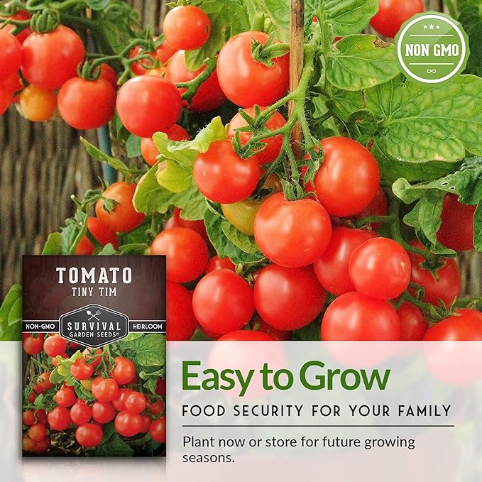 Survival Garden Seeds - Tiny Tim Tomato Seeds for Planting - 3 Packs with Instructions to Grow in Your Home Vegetable Garden - Non-GMO Heirloom Variety