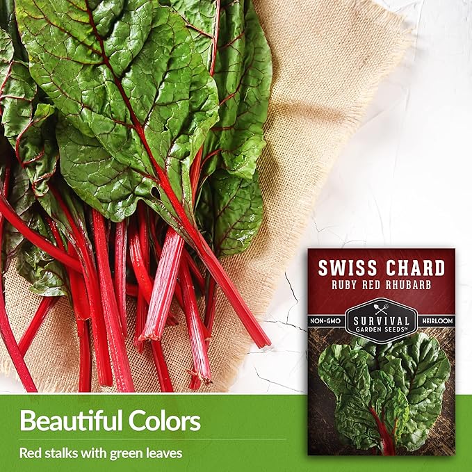Survival Garden Seeds - Ruby Red Rhubarb Swiss Chard Seed for Planting - 2 Packs with Instructions to Plant and Grow Delicious Leafy Greens in Your Home Vegetable Garden - Non-GMO Heirloom Variety