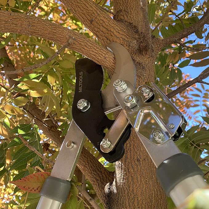 Ratcheting Extendable Bypass Lopper for Gardening - Heavy Duty Ratchet Lopper 39½" Extendable Long Handle – Chops Through 1-3/4” thick Branches – Ideal for All Gardening Enthusiasts - L8230