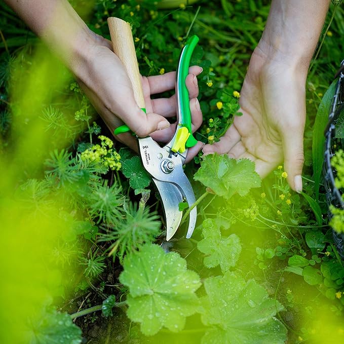 Opinel Hand Pruning Shears with non-slip beech wood handle perfect for bypass trimmers, garden, hedge, lawn clippers or hand scissors with stainless steel blade (Green)