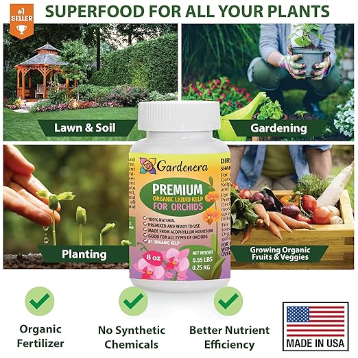 Orchid Health Boost - 16 oz - Concentrated Kelp & Seaweed Extract for Strong and Resilient Orchids