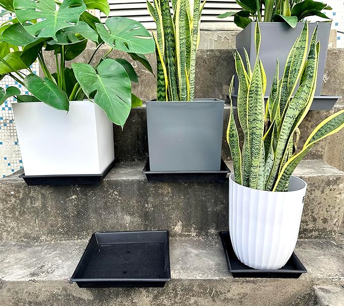 Square Plant Saucer 14 Inch 2 Pack 8 12 14 16 18 20 Plant Trays for Pots Heavy Duty Plastic Plant Saucers for Indoors Outdoors, Flower Pot Plant Drip, Extra Lager No Holes Plant Tray