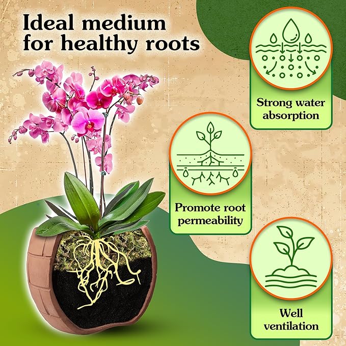 Natural Moss for Plants Indoor, Dried Moss for Potted Plants, Orchid Moss for Repotting, Forest Moss for Orchid Potting Mix, Decorative Moss Filler for Planters and Craft Moss (7oz)