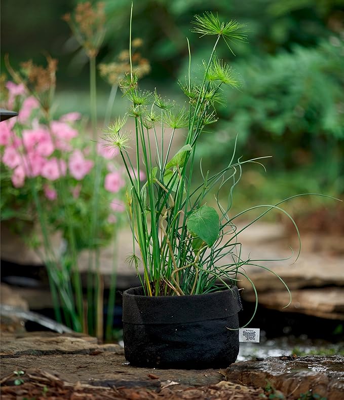 SMART POT 23007, 7 Gallon Pond Flexible Aquatic Plant Container for Water Gardening, Black