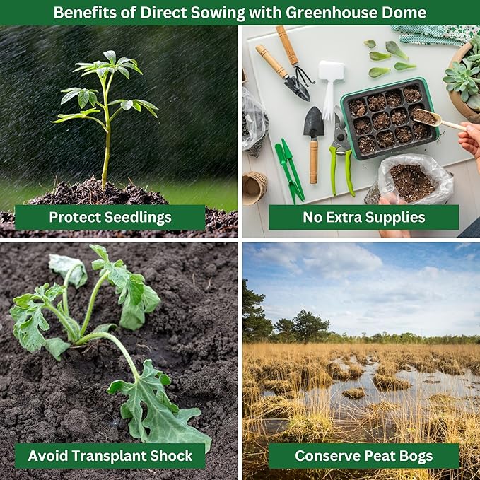 Salad Garden Kit with Grow Rings, Greenhouse Germination Domes, Seeds, Markers, Instructions – Gardening Gift for Mom, Teachers, Women, and Men – Made in USA