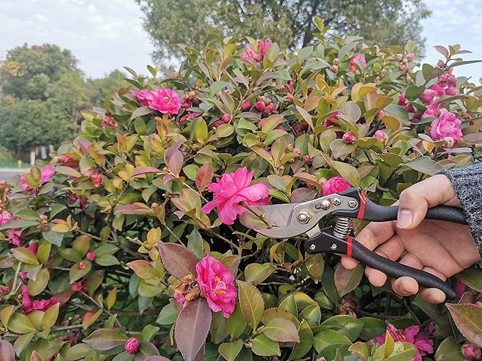 May Star Pruning Shears(MSPS-J006), Professional Pruning Shears,Perfect for Fence and Garden,SK5 Steel Blade, Size of The Opening 1.9 Inch