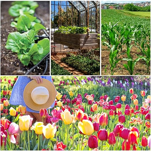150Pcs 1/4 Inch Drip Irrigation End Cap Plugs Hose Barbed Tubing Coupling Valve for Agricultura Garden