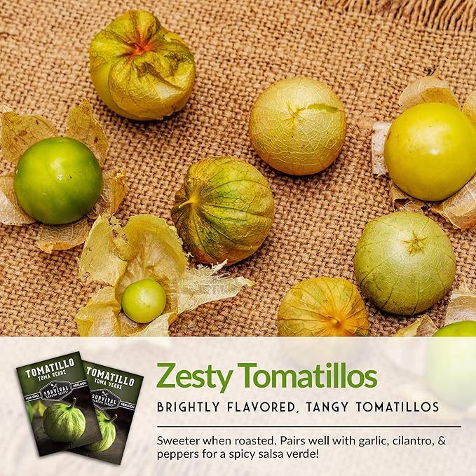 Survival Garden Seeds - Toma Verde Tomatillo Seed for Planting - 5 Packs with Instructions to Plant & Grow Green Salsa Vegetables in Your Home Vegetable Garden - Non-GMO Heirloom Variety