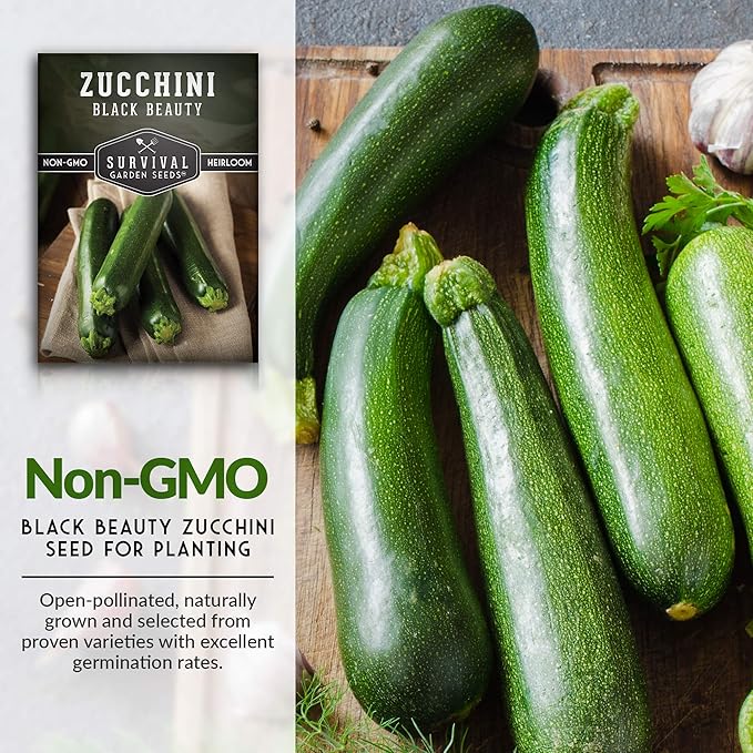 Survival Garden Seeds - Black Beauty Zucchini Seed for Planting -2 Packs with Instructions to Plant & Grow Dark Green Summer Squash Plants in Your Home Vegetable Garden - Non-GMO Heirloom Variety