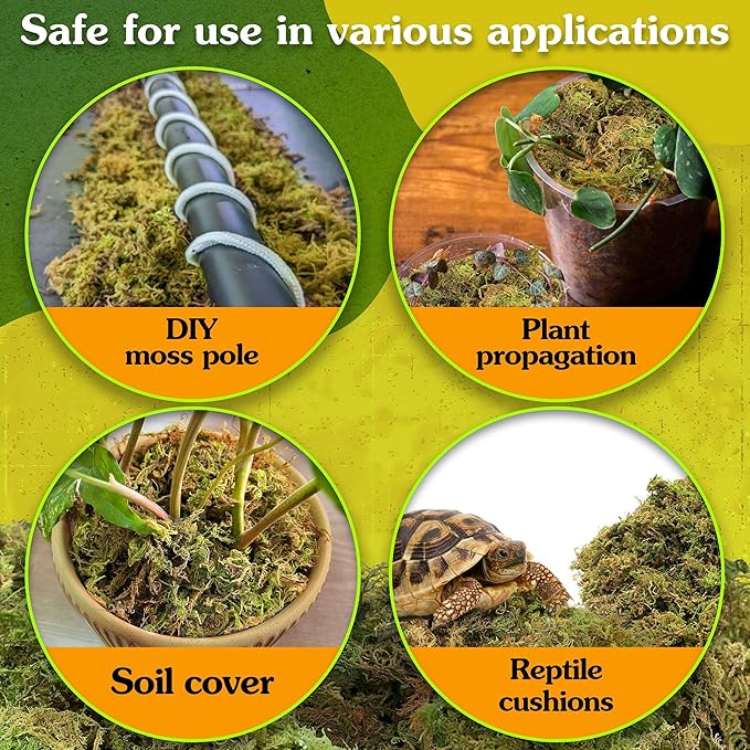 Natural Moss for Plants Indoor, Dried Moss for Potted Plants, Orchid Moss for Repotting, Forest Moss for Orchid Potting Mix, Decorative Moss Filler for Planters and Craft Moss (7oz)