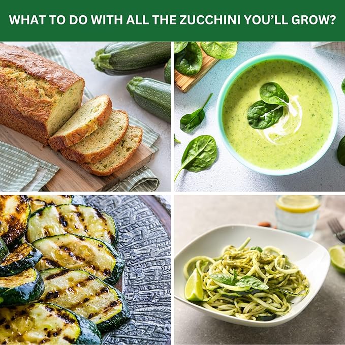 Zucchini Garden Kit with Grow Rings, Greenhouse Germination Domes, Seeds, Markers, Instructions – Gardening Gift for Mom, Teachers, Women, and Men – Made in USA