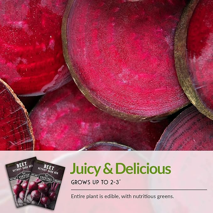 Survival Garden Seeds - Detroit Dark Red Beet Seed for Planting - 5 Packs with Instructions to Plant and Grow Delicious Root Vegetables in Your Home Vegetable Garden - Non-GMO Heirloom Variety