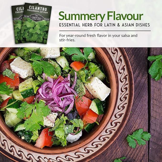 Survival Garden Seeds - Cilantro Seed for Planting - Packet with Instructions to Plant & Grow Coriandrum Sativum in Your Home Vegetable Garden - Non-GMO Heirloom Variety Herb Seed - 3 Packs