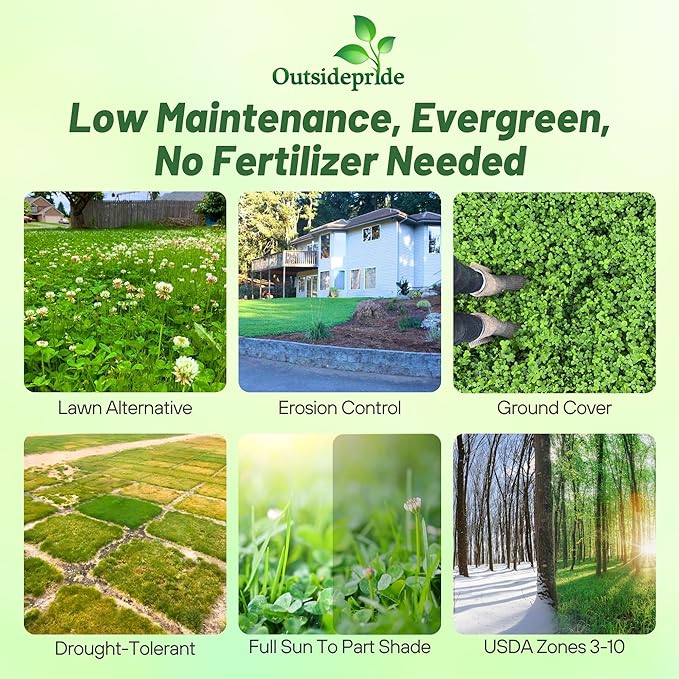 Outsidepride Perennial White Dutch Clover Seed - 1/4 lbs. Nitrocoated, Inoculated Clover Seeds for Lawn Alternative, Erosion Control, Food Plots, Ground Cover, & Pasture Mixtures in USDA Zones 3-10