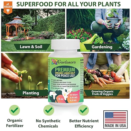 Concentrated Kelp & Seaweed Extract for Strong and Resilient Peace Lilies - 16 oz