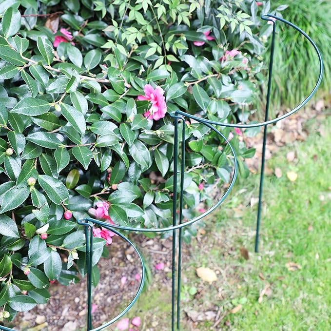 TCBWFY 20 Pack Garden Supports for Plants Metal 10" Wide x 24" High Interlock Half Round Garden Plant Support Ring Border Support Plant Support Ring Cage for Rose Flowers Vine Tomato
