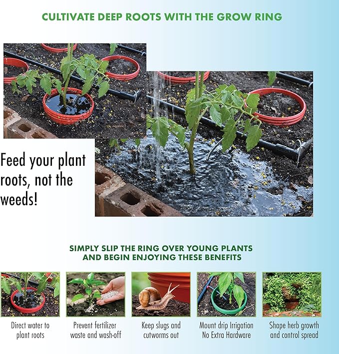 Salad Garden Kit with Grow Rings, Greenhouse Germination Domes, Seeds, Markers, Instructions – Gardening Gift for Mom, Teachers, Women, and Men – Made in USA