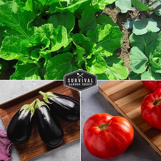 Survival Garden Seeds Vegetable Garden Collection Seed Vault - Non-GMO Heirloom Family Garden Seeds for Planting - 15 Non-Hybrid Varieties of Vegetables