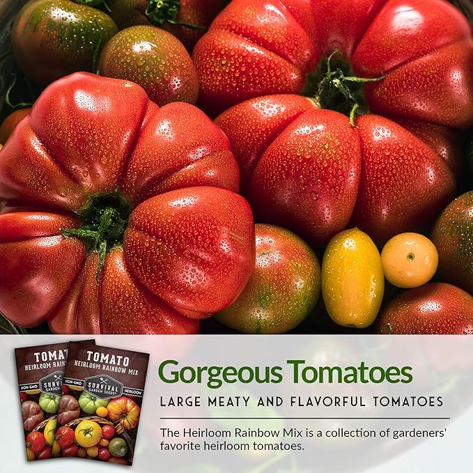 Survival Garden Seeds - Heirloom Rainbow Mix Tomato Seed for Planting - 5 Packets with Instructions to Plant and Grow in Your Home Vegetable Garden - Non-GMO Heirloom Variety - 5 Packs