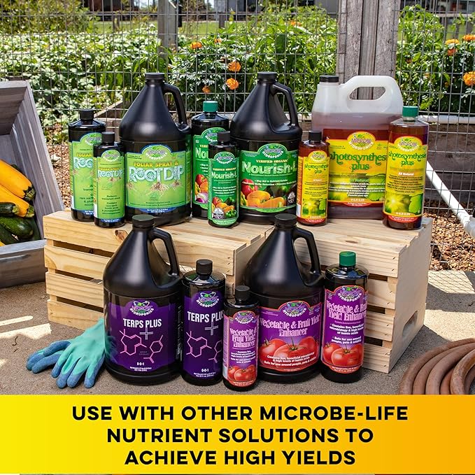 Microbe Life Hydroponics Premium Photosynthesis Plus to Grow Fruits, Vegetables, and Herbs, The Best Professional Big Bud Grow, Use with Any Feeding Systems Including Hydroponics or Soil, 1 Gallon