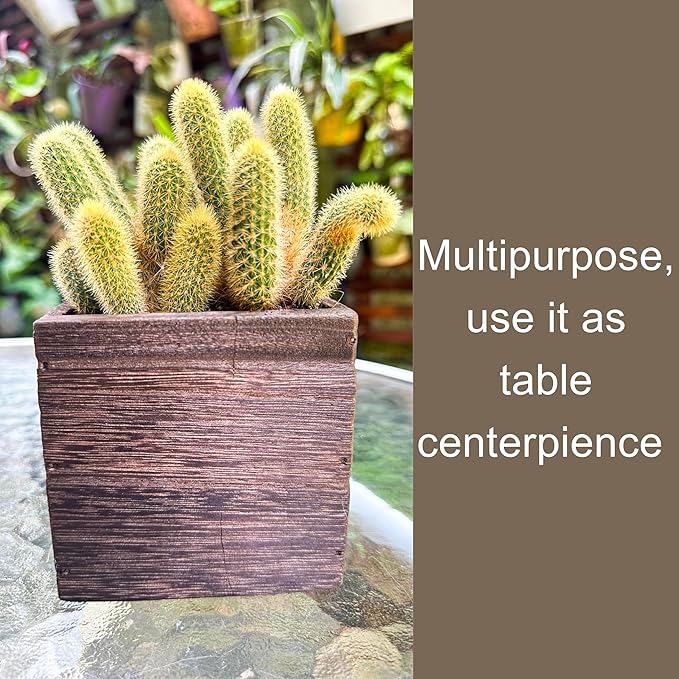 LaLaGreen Indoor Planter Box for Plants (12 Pack, 4x4 Inch) Small Square Wooden Wall Mounted Planters Wood Window Boxes Hanging Flower Pot Plant Holder Outdoor Herb Modern Vertical Garden Home Decor