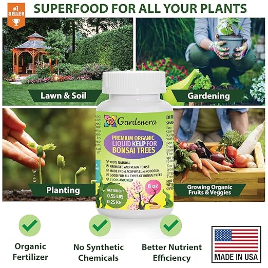 Bonsai Health Boost - 8 oz - Concentrated Kelp & Seaweed Extract for Strong and Healthy Bonsai